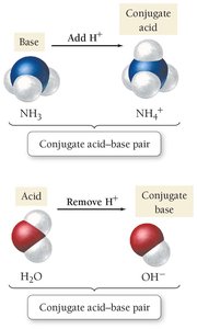Brønsted–Lowry acid-base reaction: H2SO4 and H2O