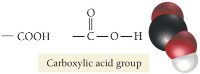 Carboxylic acid group structure