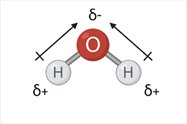 Water molecule showing polarity and bond angles