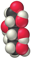 Glucose space-filling model