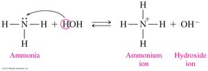 Amines acting as bases in water
