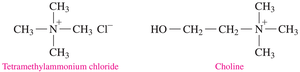 Structures of tetramethylammonium chloride and choline