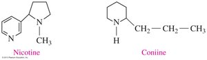 Nicotine and coniine structures