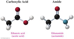 Ball-and-stick models of carboxylic acid and amide