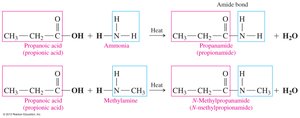 Amidation reaction: carboxylic acid + ammonia/amine to amide
