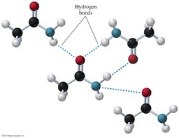 Hydrogen bonding in primary, secondary, and tertiary amides