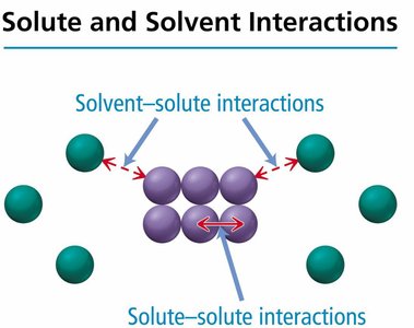Solute and solvent interactions