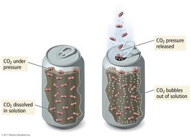 CO2 solubility and pressure in soda cans
