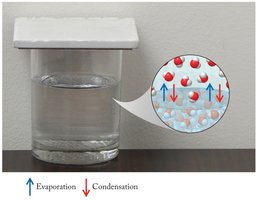 Evaporation and condensation in vapor pressure