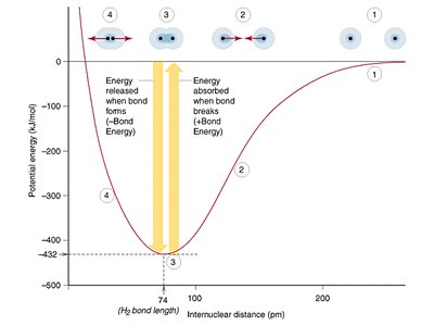 Potential energy curve for bond formation and breaking