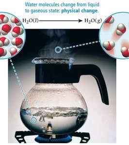 Boiling water: physical change