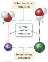 Solvent-solute and solute-solute attractions