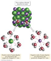How sodium chloride dissolves in water