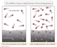 Gas solubility increases with pressure