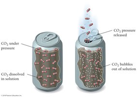 CO2 bubbles out of solution when pressure is released