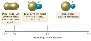 Diagram: Bond polarity and electronegativity difference