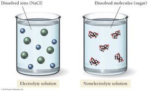 Electrolyte and nonelectrolyte solutions