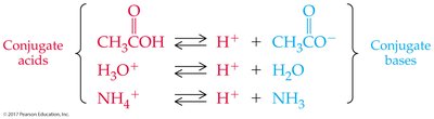 Examples of conjugate acid-base pairs