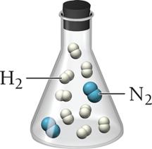 Flask containing N2 and H2 molecules
