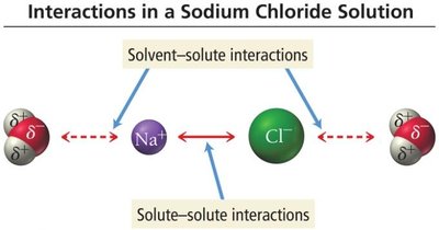 Dissolution of an ionic compound