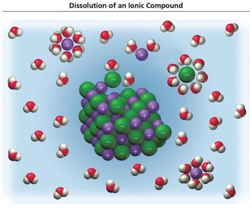 Interactions between sugar and water molecules