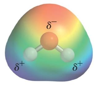 Interactions in a sodium chloride solution