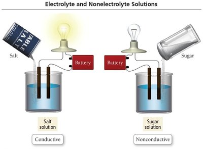 Electrolyte and nonelectrolyte solutions
