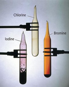 Samples of chlorine, bromine, and iodine