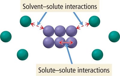 Solute-solute and solvent-solute interactions