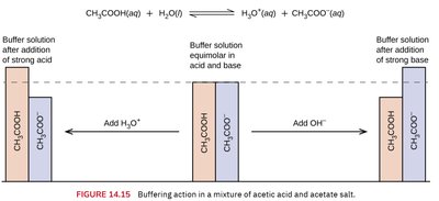 Buffering action in a mixture of acetic acid and acetate salt
