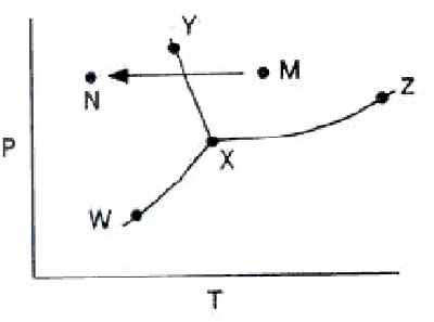 Phase diagram with points M and N
