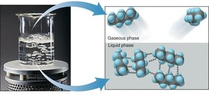 Boiling and intermolecular forces in covalent compounds