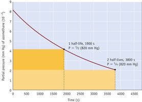 First order half-life graph