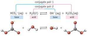 Conjugate acid-base pairs diagram