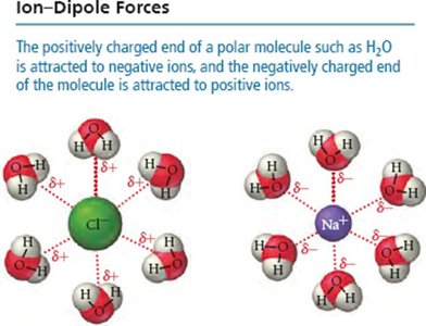 Ion-dipole forces between water and ions