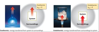 Exothermic and endothermic processes