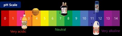 pH scale with common substances