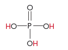 Structure of phosphoric acid