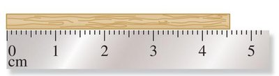 Measuring stick with ruler