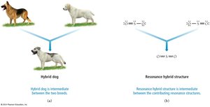 Resonance hybrid structure and analogy to hybrid dog