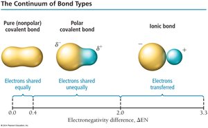 The continuum of bond types based on electronegativity difference