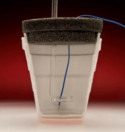 Coffee cup calorimeter setup