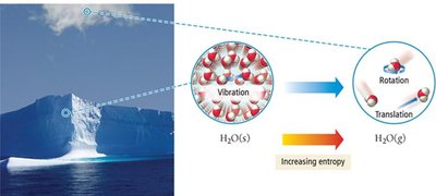 Molecular motion types and entropy