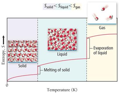 Entropy increases with freedom of motion