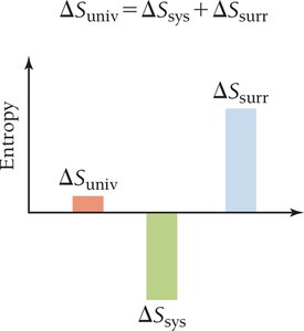 Entropy changes in system, surroundings, and universe