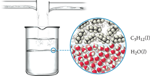 Immiscible liquids: pentane and water
