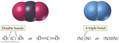 Double and triple bonds in CO2 and N2