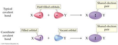Typical vs. coordinate covalent bond formation