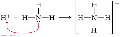 Formation of the ammonium ion (NH4+) by coordinate covalent bonding