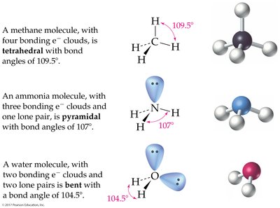 Effect of lone pairs on bond angles